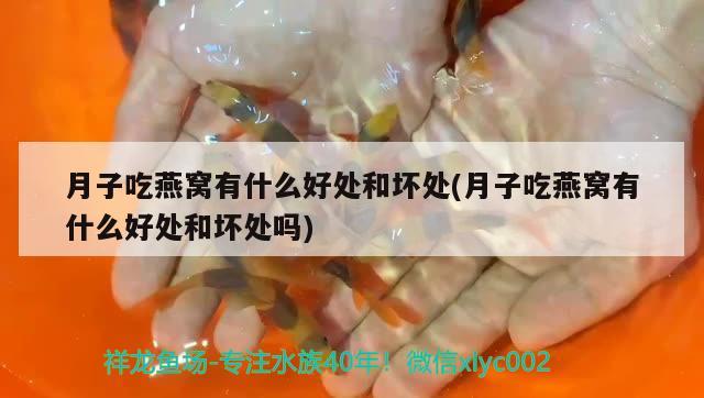 昆明市盤龍區(qū)恒通水族店 全國(guó)水族館企業(yè)名錄 第1張