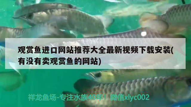 德國魚缸過濾器哪個牌子好用(德國魚缸品牌排行榜揭曉) 戰(zhàn)車紅龍魚 第2張