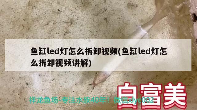 魚缸led燈怎么拆卸視頻(魚缸led燈怎么拆卸視頻講解)