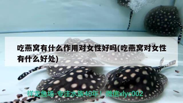 內(nèi)江水族批發(fā)市場的聯(lián)系方式和服務(wù)摘要：內(nèi)江水族批發(fā)市場的聯(lián)系，內(nèi)江水族批發(fā)市場的介紹 觀賞魚水族批發(fā)市場 第3張