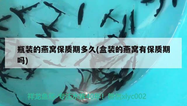 綠皮紅龍魚(yú)發(fā)色過(guò)程圖解體大小、水源、綠皮紅龍魚(yú)好么，關(guān)于龍魚(yú)換水的一些小建議