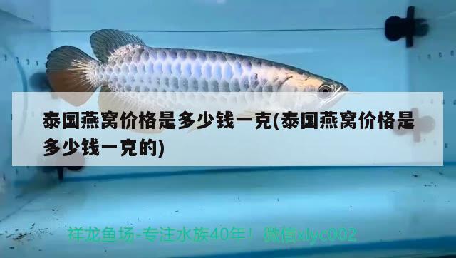 魚小和尚寓意，關(guān)刀魚體型排行