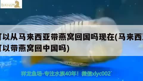 1.5米魚(yú)缸造景圖片大全（1.5米魚(yú)缸造景圖片大全集）