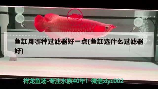 魚(yú)缸用哪種過(guò)濾器好一點(diǎn)(魚(yú)缸選什么過(guò)濾器好)