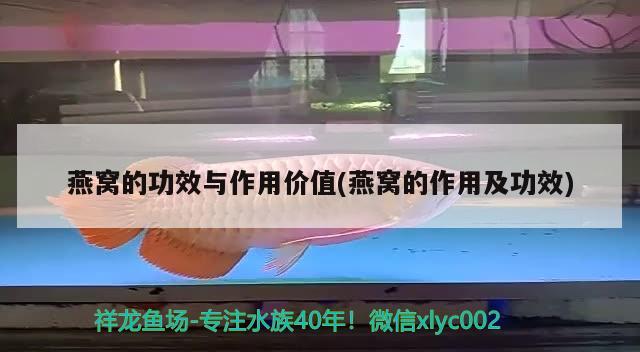 岳陽城陵磯金龍魚油廠招聘：南岳金龍魚廠招聘信息