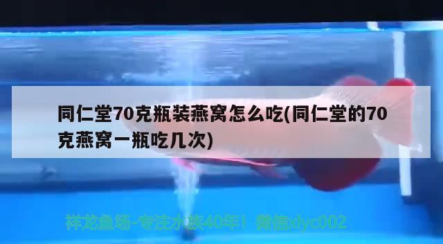 同仁堂70克瓶裝燕窩怎么吃(同仁堂的70克燕窩一瓶吃幾次) 馬來(lái)西亞燕窩