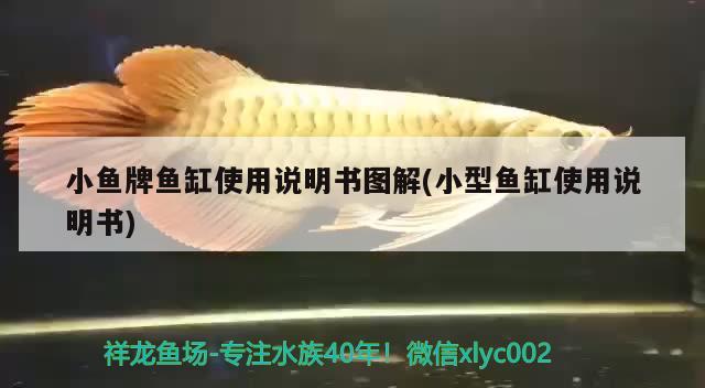 大魚缸做法(大魚缸怎么做法視頻教程) BD魟魚 第1張