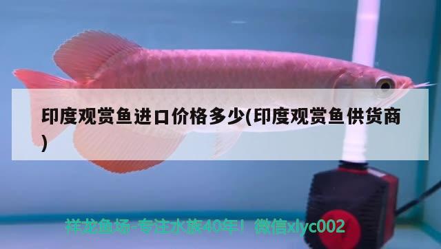 印度觀賞魚進(jìn)口價(jià)格多少(印度觀賞魚供貨商) 觀賞魚進(jìn)出口