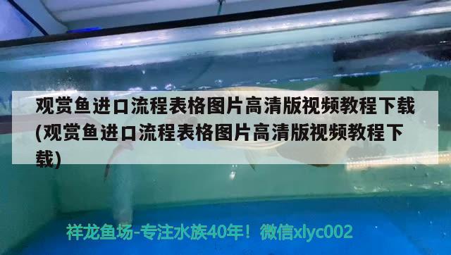 觀賞魚進口流程表格圖片高清版視頻教程下載(觀賞魚進口流程表格圖片高清版視頻教程下載) 觀賞魚進出口