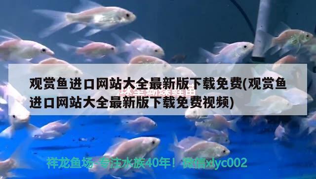 觀賞魚進(jìn)口網(wǎng)站大全最新版下載免費(fèi)(觀賞魚進(jìn)口網(wǎng)站大全最新版下載免費(fèi)視頻) 觀賞魚進(jìn)出口