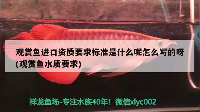 觀賞魚進(jìn)口資質(zhì)要求標(biāo)準(zhǔn)是什么呢怎么寫的呀(觀賞魚水質(zhì)要求) 觀賞魚進(jìn)出口 第3張