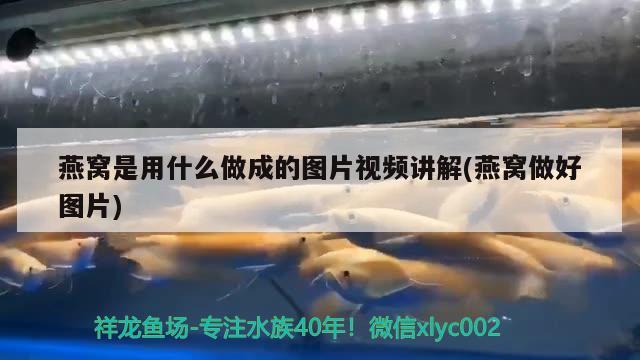 燕窩是用什么做成的圖片視頻講解(燕窩做好圖片) 馬來西亞燕窩