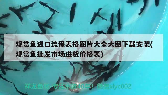 馬鞍山魚缸批發(fā)市場 馬鞍山魚缸批發(fā)市場地址 印尼虎苗