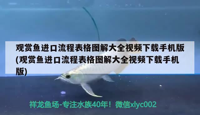 觀賞魚進口流程表格圖解大全視頻下載手機版(觀賞魚進口流程表格圖解大全視頻下載手機版) 觀賞魚進出口