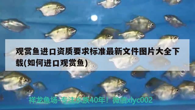 觀賞魚進(jìn)口資質(zhì)要求標(biāo)準(zhǔn)最新文件圖片大全下載(如何進(jìn)口觀賞魚) 觀賞魚進(jìn)出口