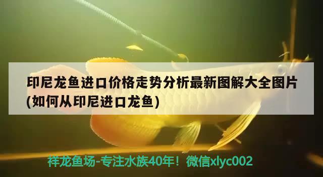 廊坊魚池過濾濾材:廊坊廣陽(yáng)婦幼建檔需要什么材料 廣州水族器材濾材批發(fā)市場(chǎng) 第1張