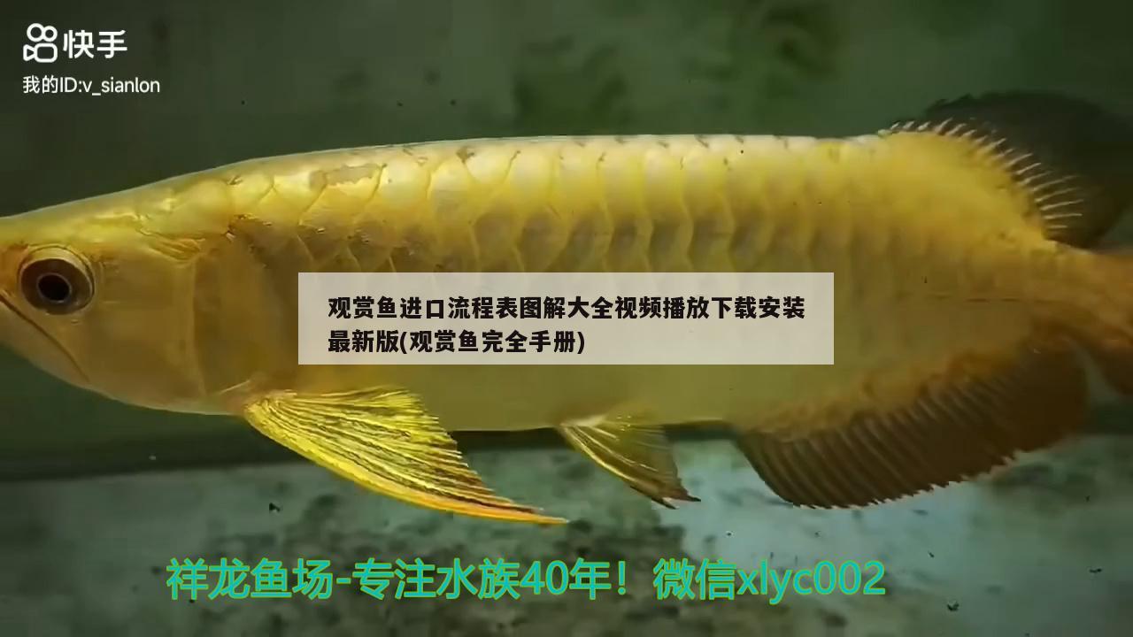 觀賞魚進(jìn)口流程表圖解大全視頻播放下載安裝最新版(觀賞魚完全手冊) 觀賞魚進(jìn)出口