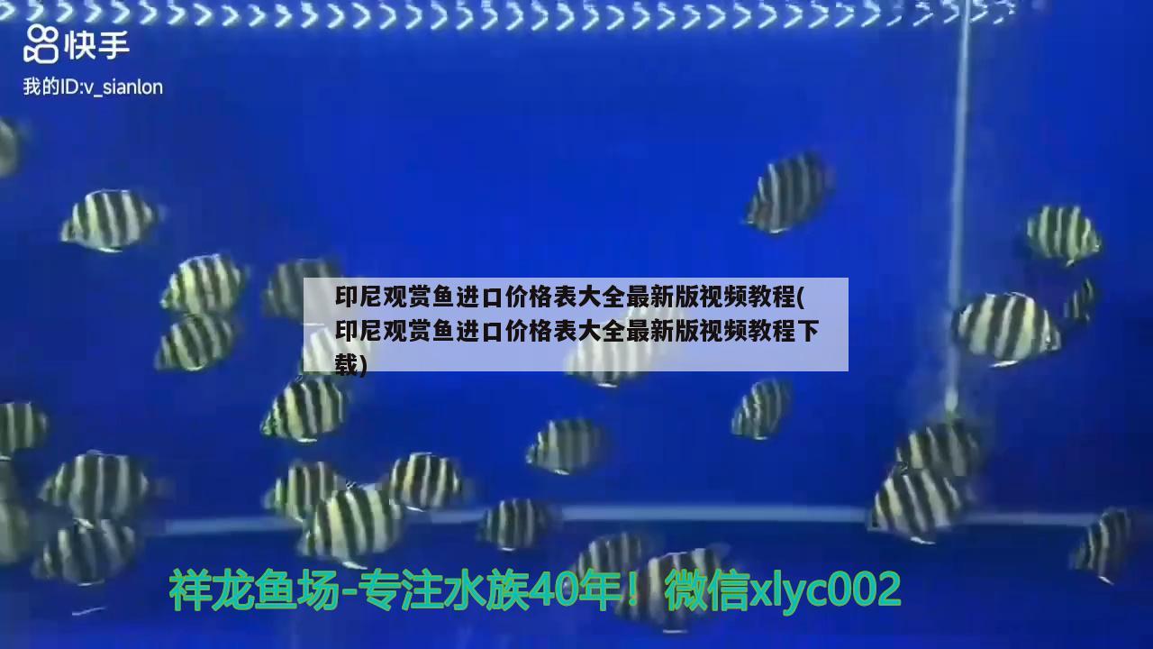 印尼觀賞魚進(jìn)口價(jià)格表大全最新版視頻教程(印尼觀賞魚進(jìn)口價(jià)格表大全最新版視頻教程下載) 觀賞魚進(jìn)出口