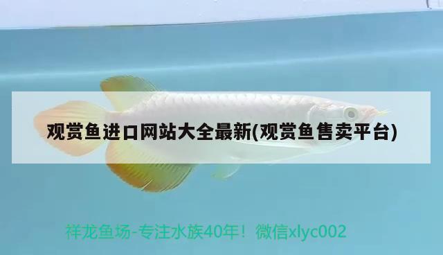 觀賞魚進口網(wǎng)站大全最新(觀賞魚售賣平臺) 觀賞魚進出口