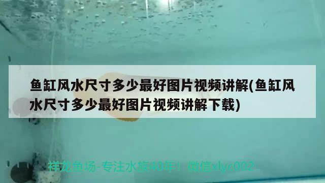 魚(yú)缸風(fēng)水尺寸多少最好圖片視頻講解(魚(yú)缸風(fēng)水尺寸多少最好圖片視頻講解下載) 魚(yú)缸風(fēng)水