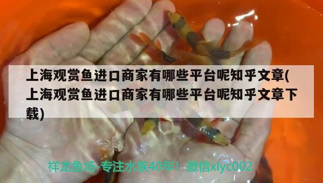 紅龍魚(yú)和虎魚(yú)混養(yǎng)會(huì)打架嗎：紅龍和虎魚(yú)混養(yǎng)視頻