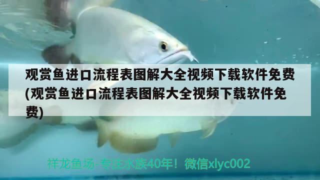 觀賞魚進(jìn)口流程表圖解大全視頻下載軟件免費(fèi)(觀賞魚進(jìn)口流程表圖解大全視頻下載軟件免費(fèi))