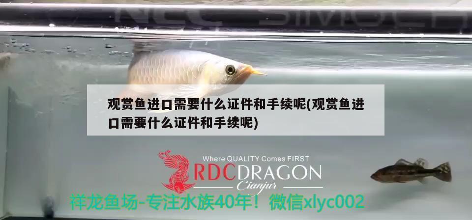 觀賞魚進(jìn)口需要什么證件和手續(xù)呢(觀賞魚進(jìn)口需要什么證件和手續(xù)呢) 觀賞魚進(jìn)出口