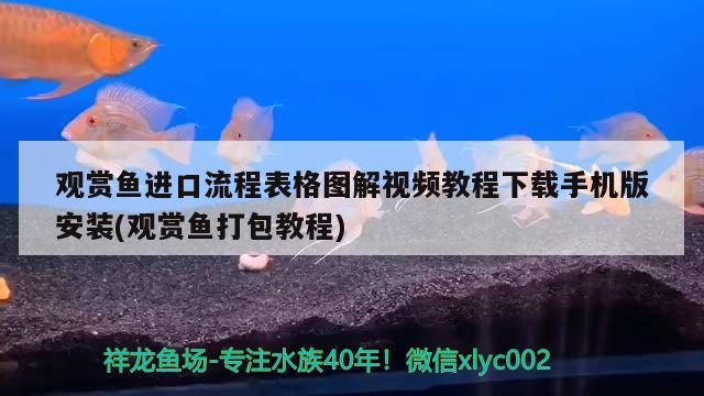 觀賞魚進口流程表格圖解視頻教程下載手機版安裝(觀賞魚打包教程) 觀賞魚進出口