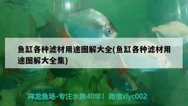 魚缸各種濾材用途圖解大全(魚缸各種濾材用途圖解大全集) 三間鼠魚苗