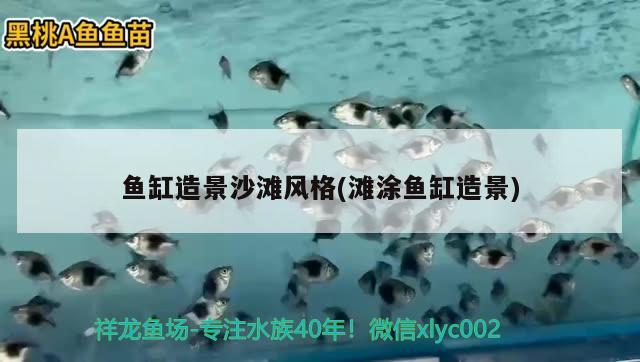 魚缸造景沙灘風(fēng)格(灘涂魚缸造景) 祥龍水族濾材/器材