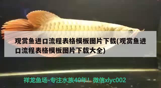 武漢市青山區(qū)小小魚兒水族店 全國水族館企業(yè)名錄 第3張