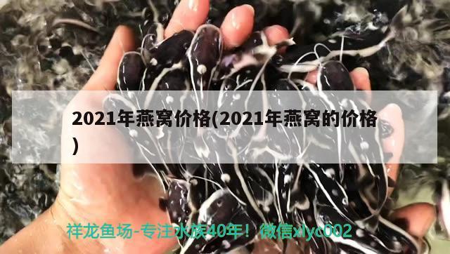 2021年燕窩價(jià)格(2021年燕窩的價(jià)格) 馬來西亞燕窩