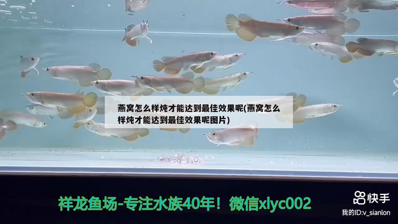 營口市站前區(qū)自魚自樂水族店 全國水族館企業(yè)名錄