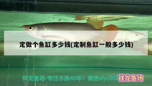 定做個(gè)魚缸多少錢(定制魚缸一般多少錢) 白子銀版魚苗