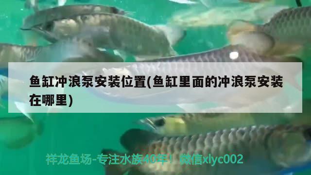 魚缸沖浪泵安裝位置(魚缸里面的沖浪泵安裝在哪里) 粗線銀版魚