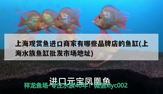 回民區(qū)蘭鱗閣水族館（回民區(qū)蘭鱗閣水族館電話）