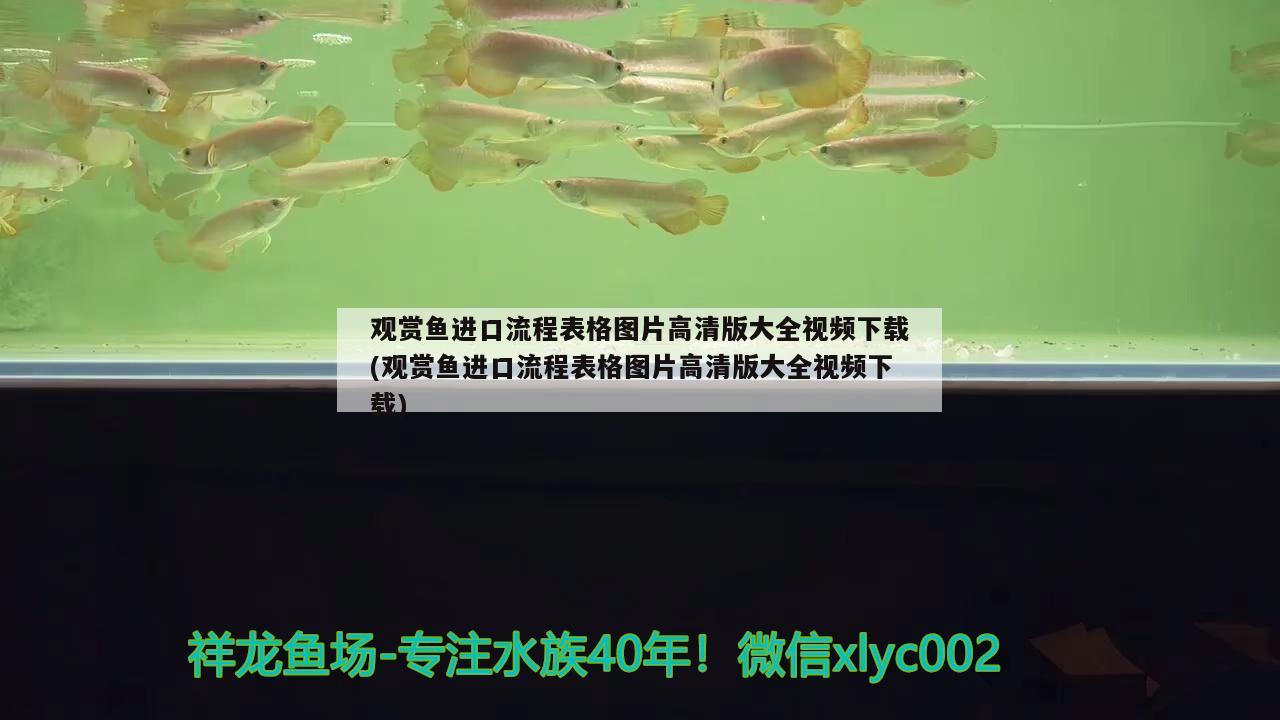 手工做魚缸過濾器(手工做魚缸過濾器圖片) 委內(nèi)瑞拉奧里諾三間魚