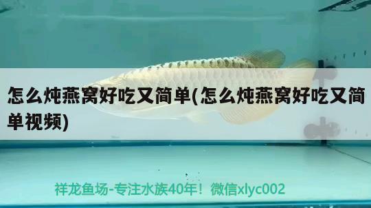 養(yǎng)龍魚需要一直開燈嗎（龍魚必須要用燈光嗎） 水族燈（魚缸燈） 第2張