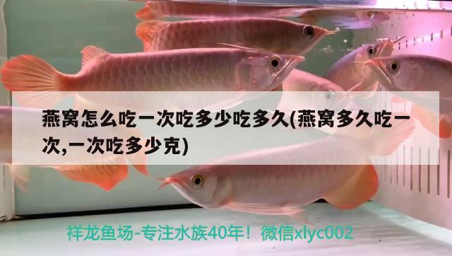 印尼觀賞魚進(jìn)口品種排名榜最新圖片視頻大全(印尼觀賞魚進(jìn)口品種排名榜最新圖片視頻大全下載) 觀賞魚進(jìn)出口