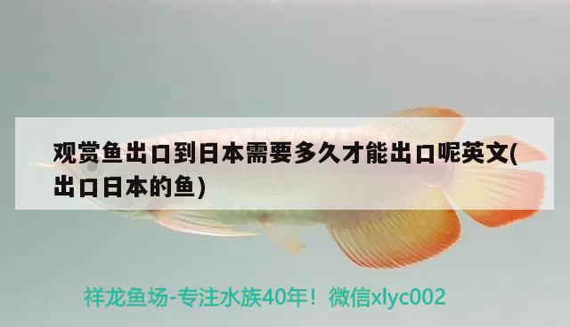 觀賞魚出口到日本需要多久才能出口呢英文(出口日本的魚) 觀賞魚進(jìn)出口 第1張