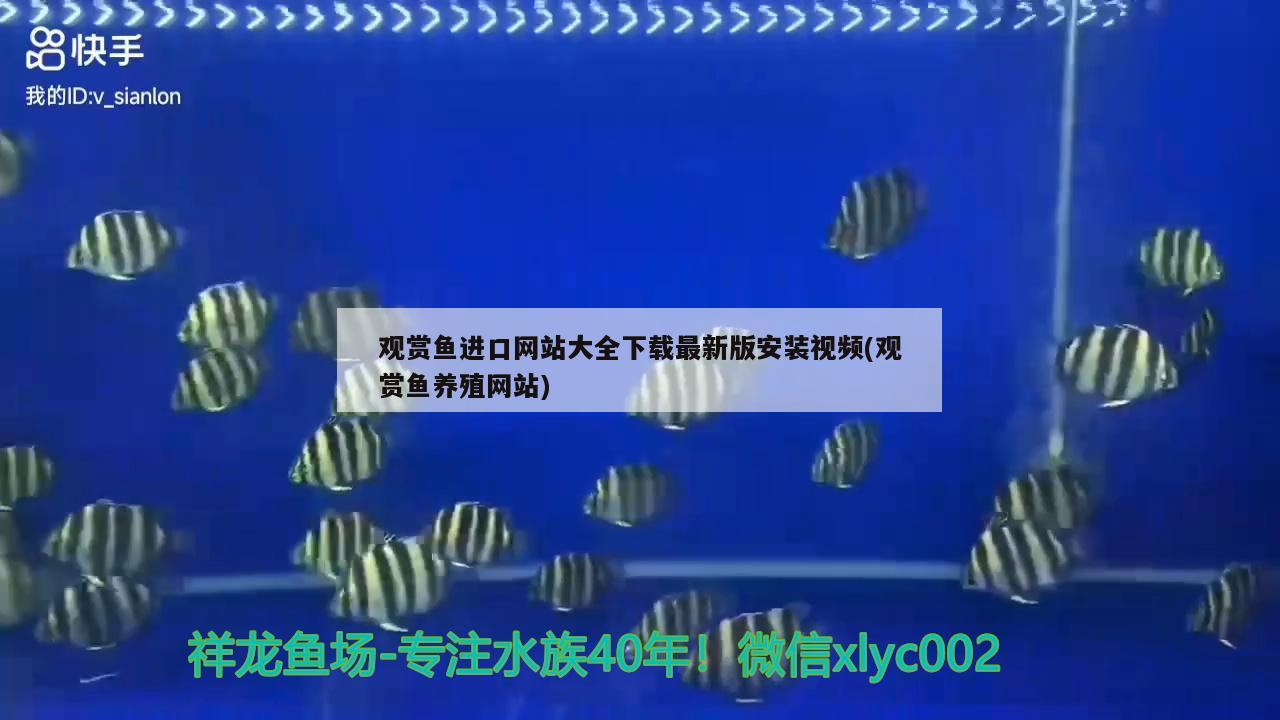 觀賞魚進(jìn)口網(wǎng)站大全下載最新版安裝視頻(觀賞魚養(yǎng)殖網(wǎng)站)