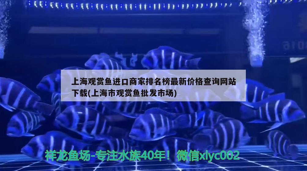 上海觀賞魚進口商家排名榜最新價格查詢網(wǎng)站下載(上海市觀賞魚批發(fā)市場) 觀賞魚進出口