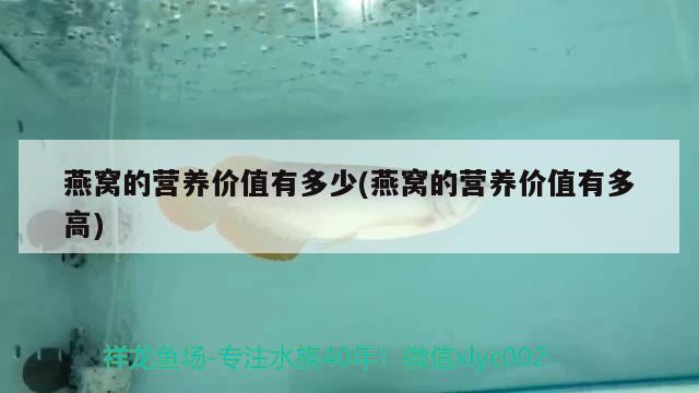 金魚曼龍魚混養(yǎng)，精選問答