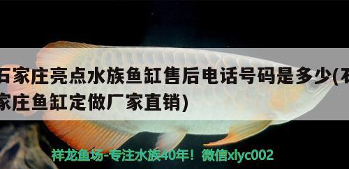 石家莊亮點(diǎn)水族魚缸售后電話號碼是多少(石家莊魚缸定做廠家直銷) 魚糧魚藥 第2張