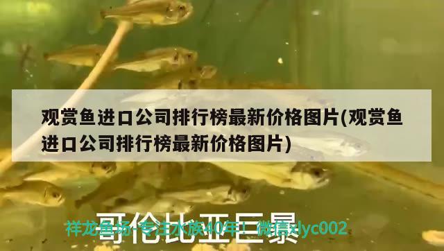 本溪市明山區(qū)欣水館水族店（本溪市明山區(qū)欣水館水族店電話）