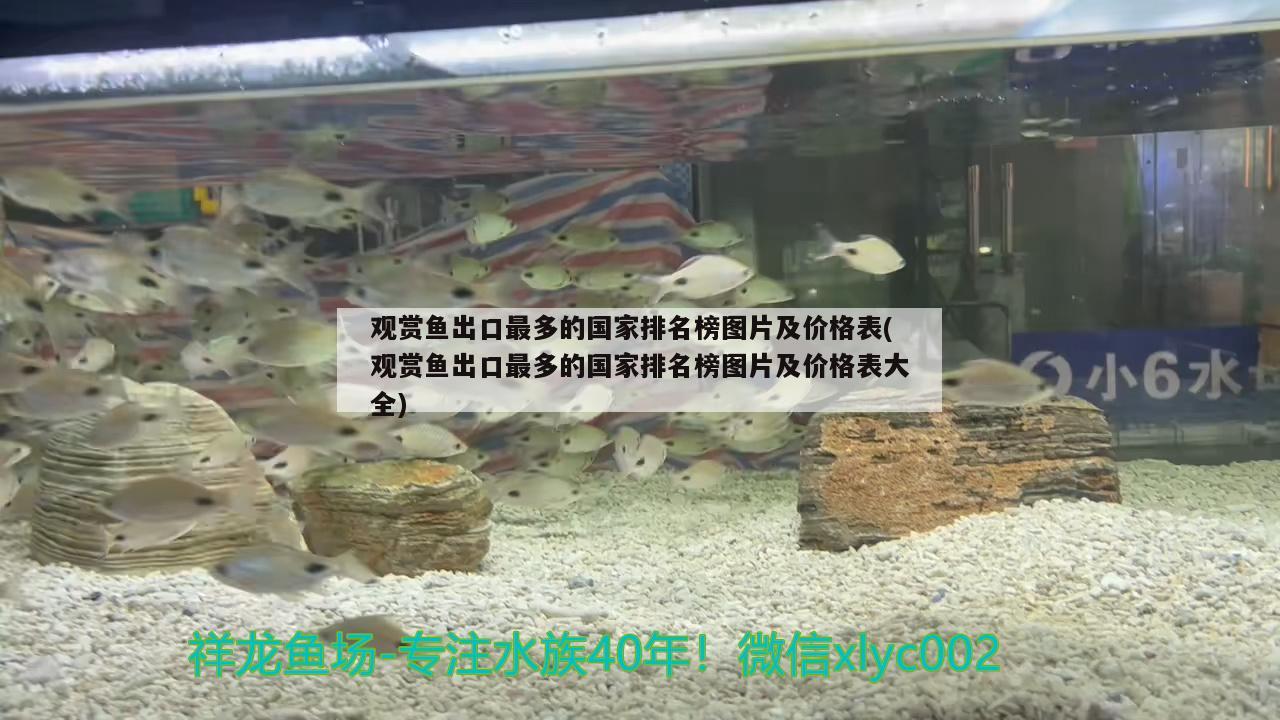 陽臺玻璃魚缸自制設(shè)計效果圖（自制玻璃魚缸設(shè)計圖圖解） 野生埃及神仙魚 第1張