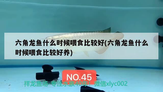 黃石魚缸定制的價(jià)格及圖片大全，黃石魚缸定制價(jià)格及圖片大全