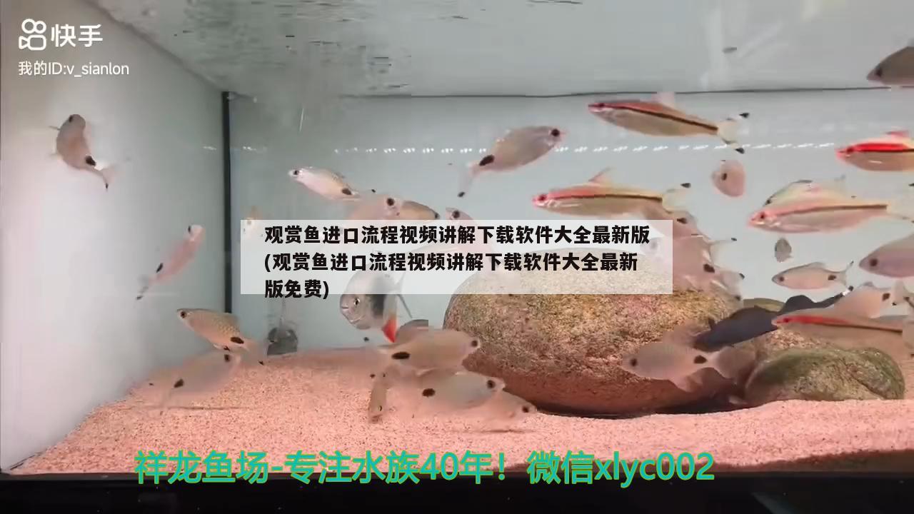 觀賞魚進口流程視頻講解下載軟件大全最新版(觀賞魚進口流程視頻講解下載軟件大全最新版免費) 觀賞魚進出口