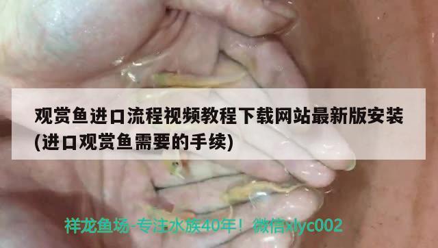 觀賞魚進(jìn)口流程視頻教程下載網(wǎng)站最新版安裝(進(jìn)口觀賞魚需要的手續(xù)) 觀賞魚進(jìn)出口