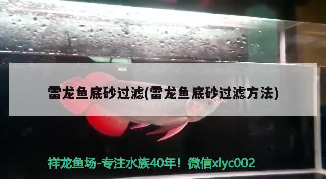 雷龍魚底砂過濾(雷龍魚底砂過濾方法)